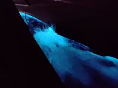 -涠洲岛南湾海洋运动公园