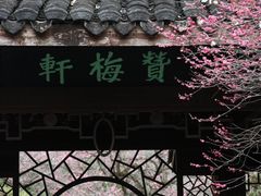 -杭州植物园