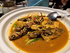 -辛香味烧鱼馆·非遗技艺·排骨红烧肉(光谷医药园店)