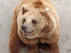 -哈尔滨北方森林动物园