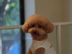 -小意思咖啡店(草桥店)