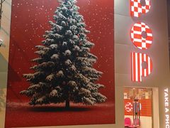 -溪岸路花鸟市场