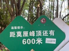 -雨花胜境