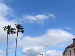 -黑潮市场
