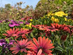 -狼山风景名胜区