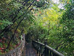 -郧西五龙河风景区
