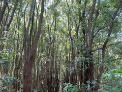 -同里国家湿地公园