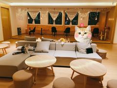 -猫腻·猫咖·撸猫馆(星光大道店)