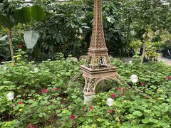 -南宫五洲植物乐园