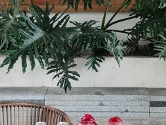 -听香·678茶铺(猛追湾店)