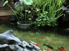 -道南書院·私房菜·早午茶·茶馆