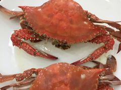-海岛渔村大酒店(云霄路店)