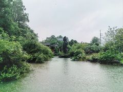 -广州神农草堂中医药博物馆