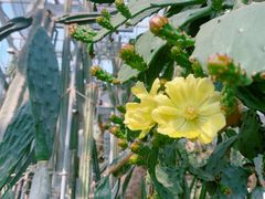 -国家植物园南园