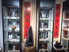 -灵龟之家百象馆(百象馆联合旗舰店)