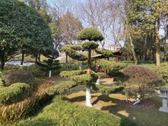 -重庆园博园