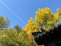 -泰山风景名胜区-普照寺