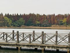 -溱湖国家湿地公园