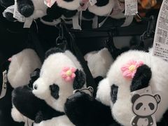 -熊猫屋(宽窄巷子景区店)