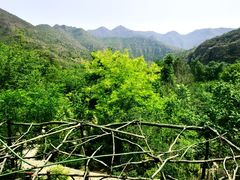 -幽岚山·童话森林