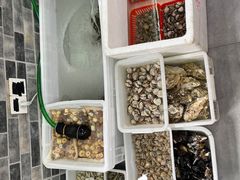 -阿杰臻选海鲜饭店(普陀山店)