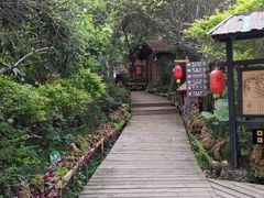 -天门沟九州驿站树上汤泉