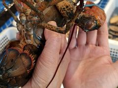 -碧海银沙海鲜餐厅(恒大海上威尼斯店)