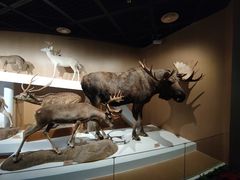 -陕西自然博物馆