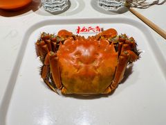 -杨氏青龙虾·羊蝎子(托乐嘉店)