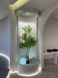 -VE专注问题肌·赛诺龙&科学美肤中心