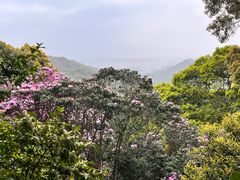 -梧桐山风景名胜区