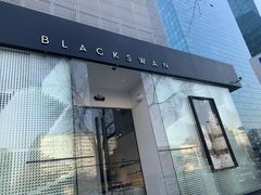 门面-BLACKSWAN黑天鹅(环球店)