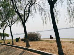 -丁香湖公园