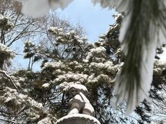 -沈阳市东陵公园