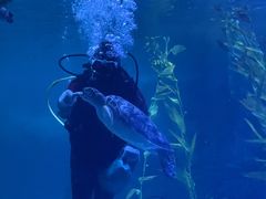 -常州海昌海洋探索馆