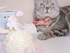 -好利来(高新枫叶广场店)