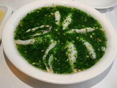 荠菜松茸烩黄鱼-老人和饭店(淮海中路店)