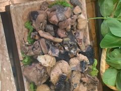 -滇藏石锅宴(崇仁巷老店)