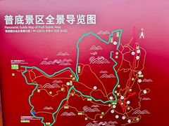 -贵州百里杜鹃风景名胜区