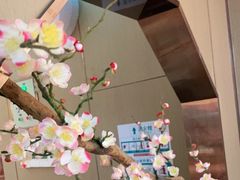 -野妹火锅(龙岗店)