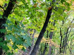 -帽儿山国家森林公园