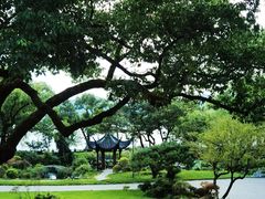 -杭州西湖柳莺里酒店·闻莺厅