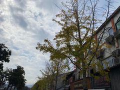-溪口-滕头旅游景区