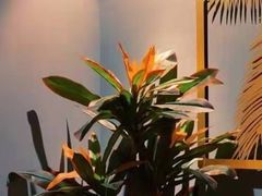 -得闲·高空SPA(东盟店)