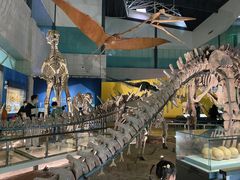 -湖南省地质博物馆