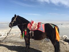 -青海湖国家重点风景名胜区