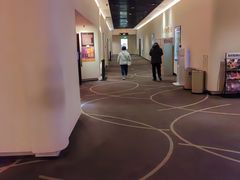 -嘉华国际影城(学清路店)