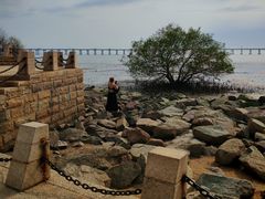 -宝安西湾红树林湿地公园