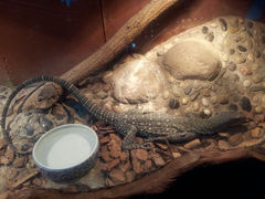 android_upload_pic-上海大自然野生昆虫馆