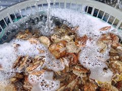 -北方饺子王·海肠捞饭·海鲜锅(山大店)